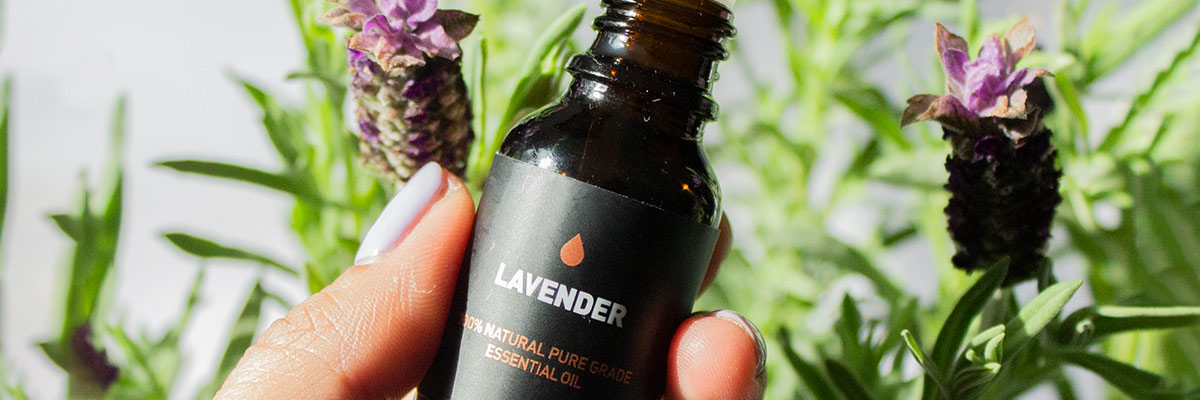 100% Pure Essential Oil Lavender Hold by a Woman in the Garden
