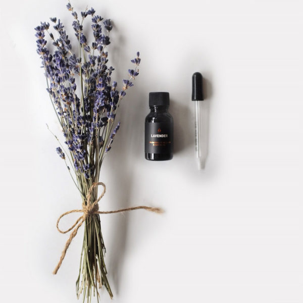 Essential Oil from Lavender All Natural beside Lavender Bunch