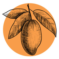 mango-icon