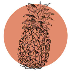 pineapple-icon