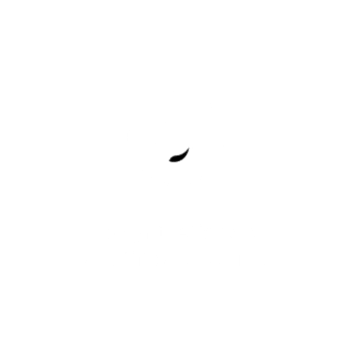 No Synthetic Oils